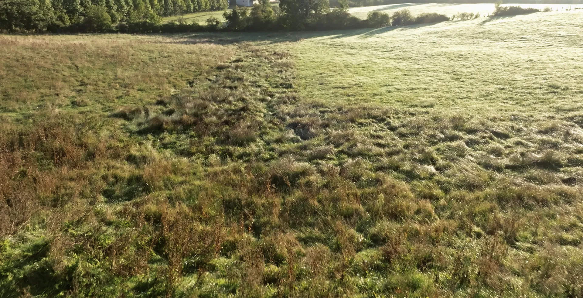 Zone humide programme immobilier responsable - Val Nature