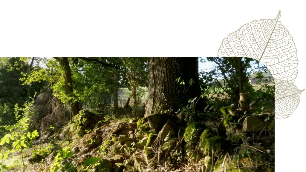 Programme immobilier responsable au coeur de la nature